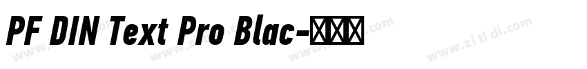 PF DIN Text Pro Blac字体转换